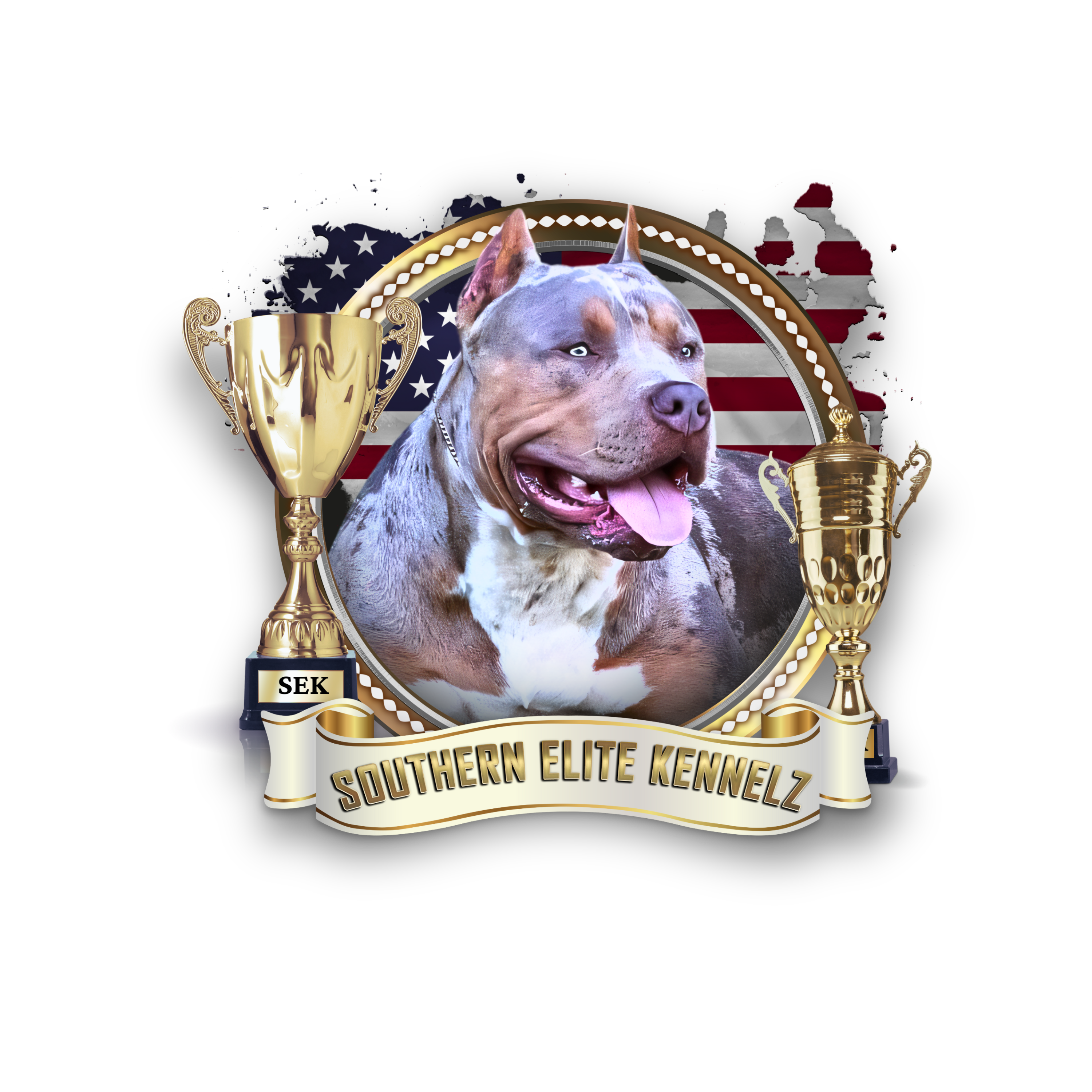 SEK Southern Elite Kennelz of Mississippi. XL American Bully breeders of MS. Health tested American Bullies.