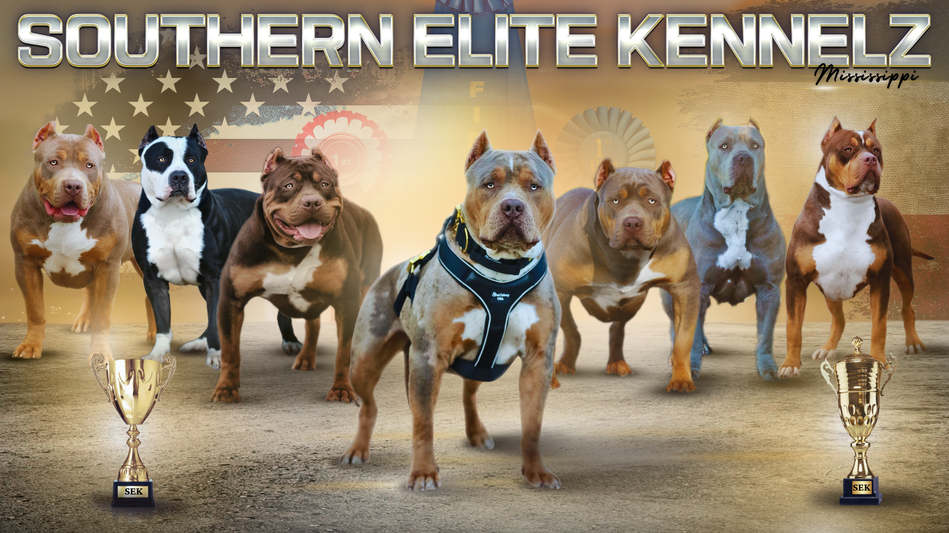 SEK Southern Elite Kennelz of Mississippi health tested XL American Bullies for sale Bully puppies for sale