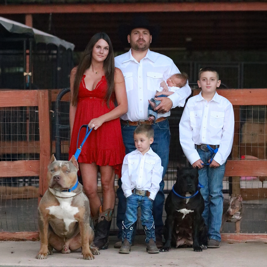 Health tested XL American Bullies for sale from a family owned Bully Kennel in Mississippi Southern Elite Kennelz SEK